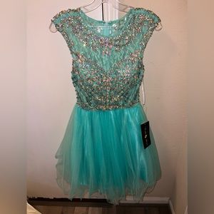 Beautiful brand new rhinestone dress knee length